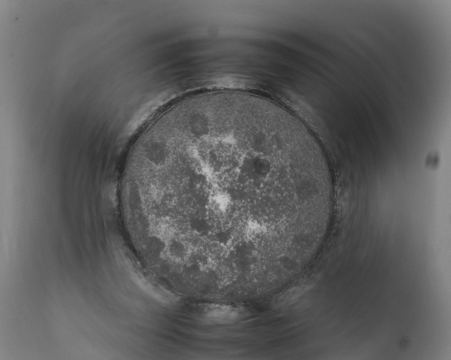 X0000111650347200907311322
