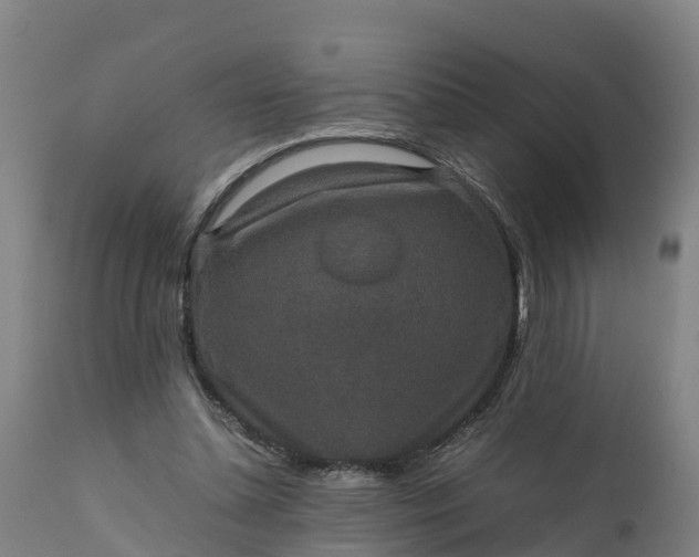 X0000111650348200907311322