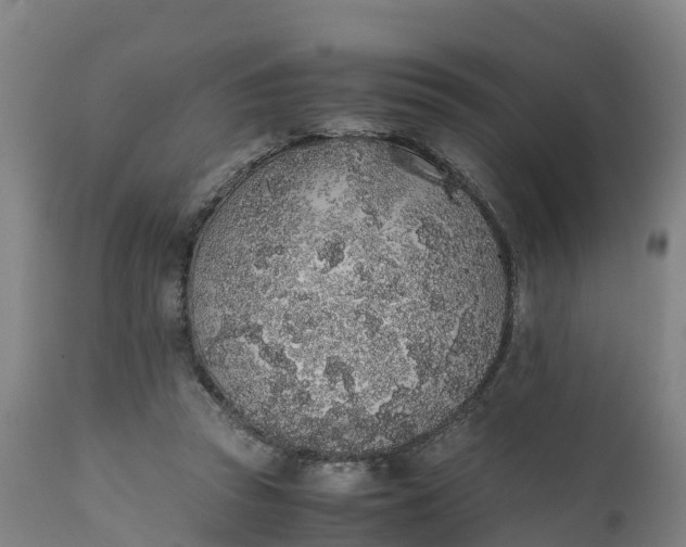 X0000111650353200907311322