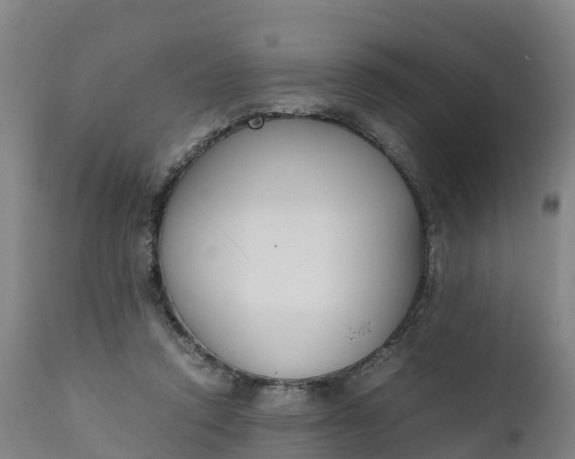 X0000111650354200907311322