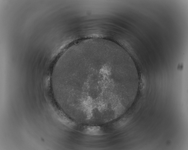 X0000111650355200907311322