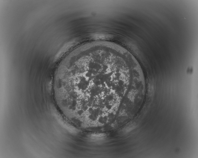 X0000111650357200907311322