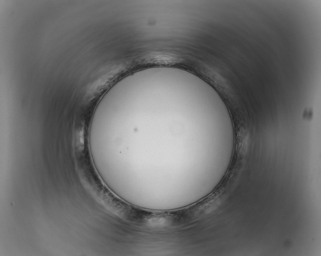 X0000111650358200907311322