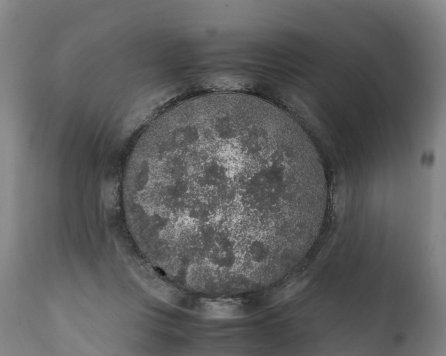 X0000111650359200907311322