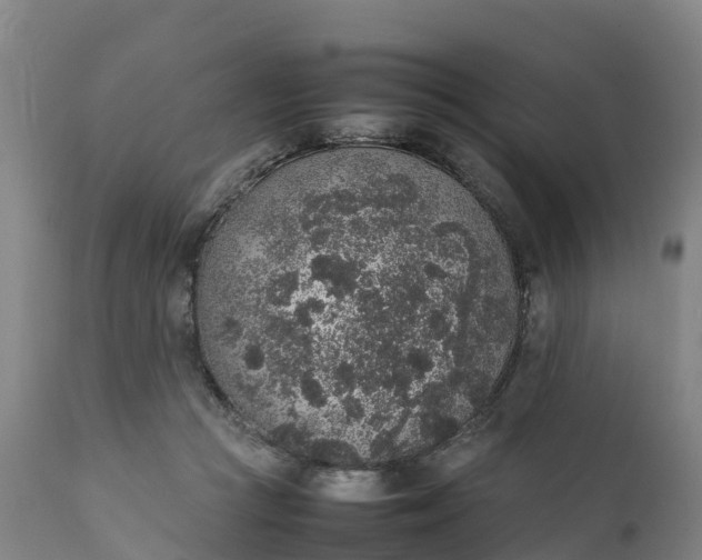 X0000111650361200907311322