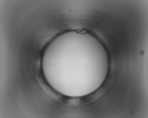 X0000111650362200907311322