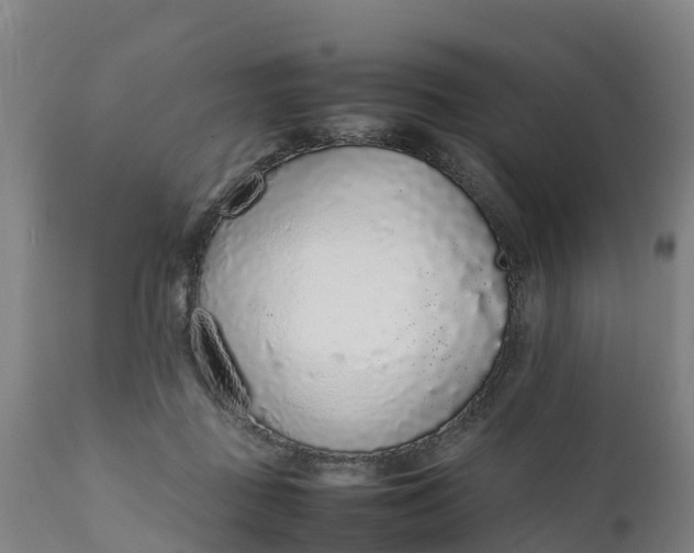 X0000111650363200907311322