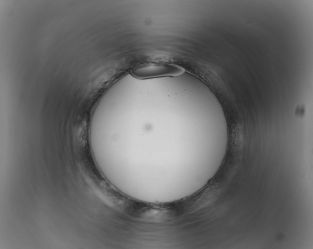 X0000111650364200907311322