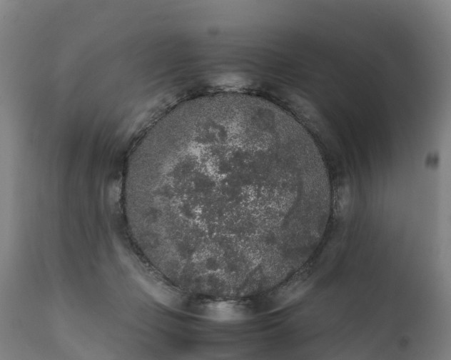 X0000111650365200907311322