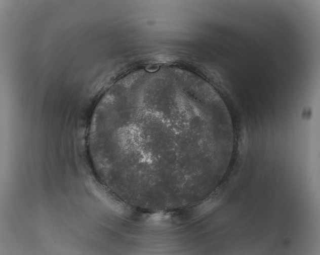 X0000111650366200907311322