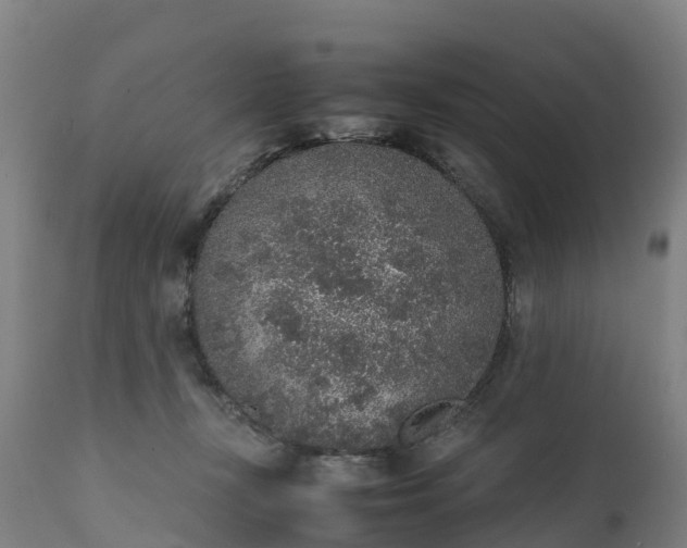 X0000111650367200907311322