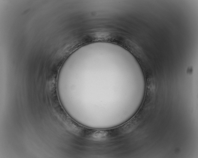 X0000111650369200907311322