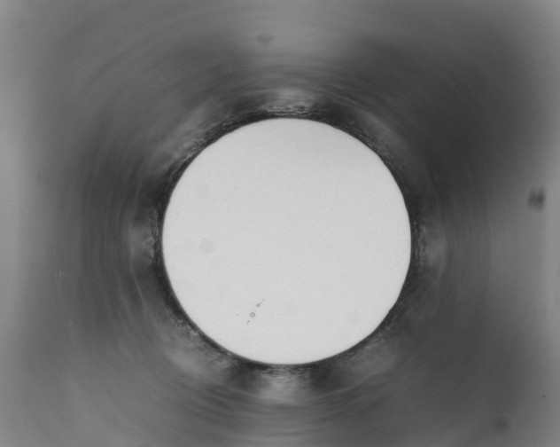 X0000111650370200907311322