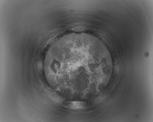 X0000111650371200907311322