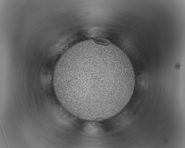 X0000111650372200907311322