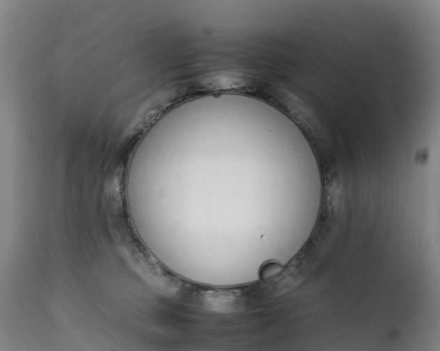 X0000111650373200907311322
