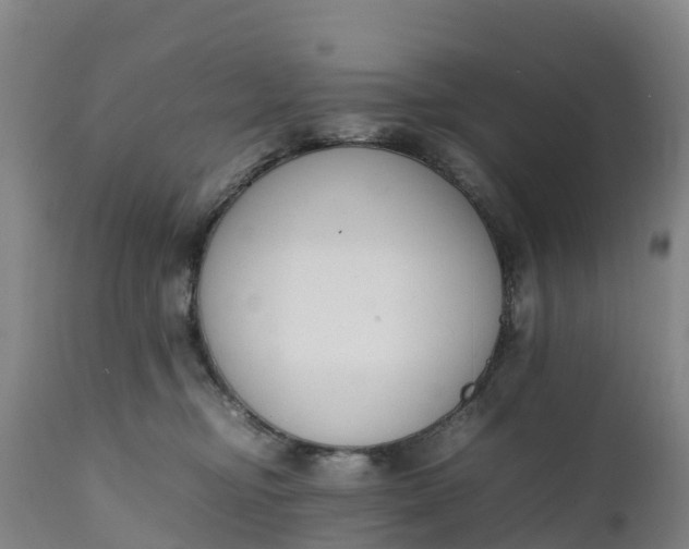 X0000111650374200907311322