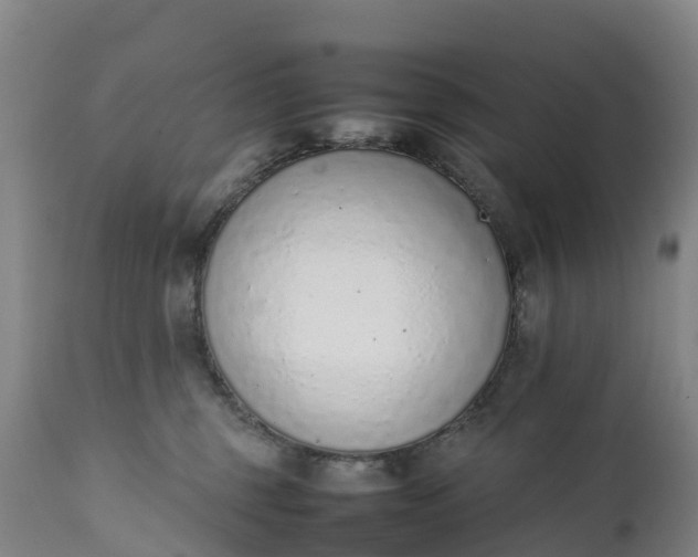 X0000111650375200907311322