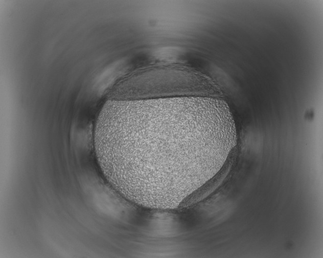 X0000111650376200907311322