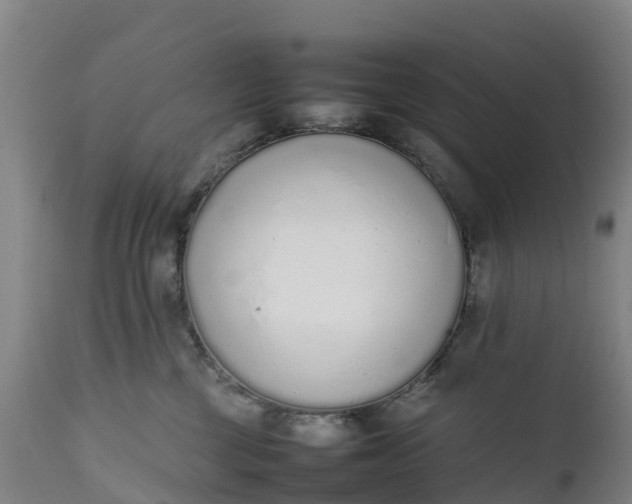 X0000111650377200907311322