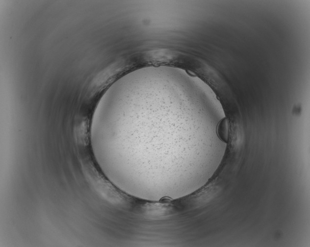 X0000111650378200907311322