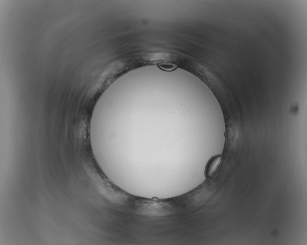 X0000111650379200907311322