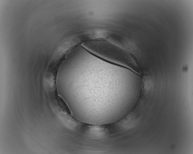 X0000111650380200907311322