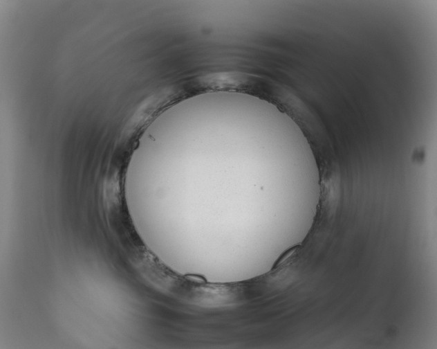 X0000111650381200907311322
