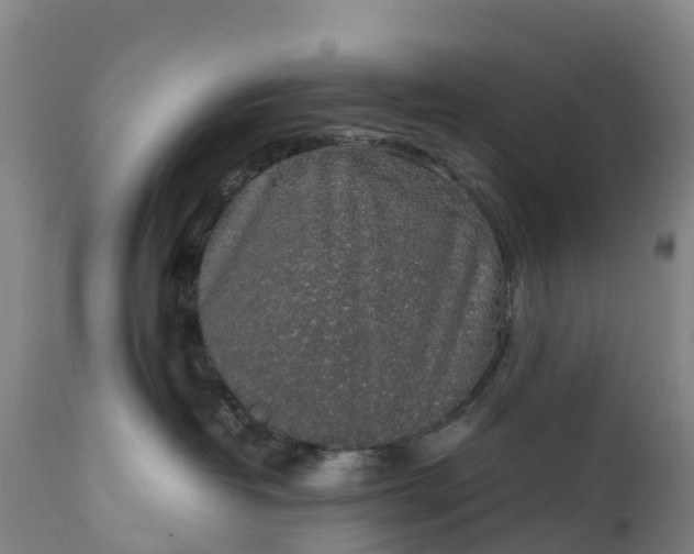 X0000111650382200907311322