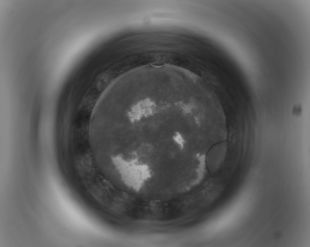 X0000111650383200907311322