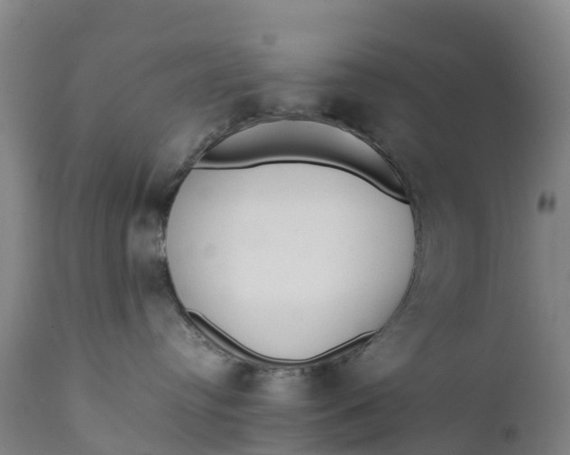 X0000111650384200907311322