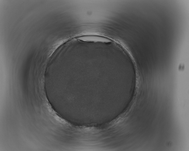 X0000111650385200907311322