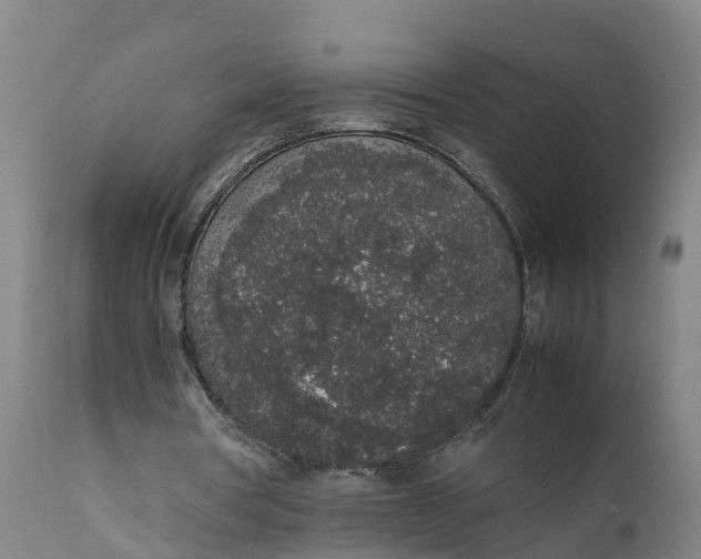 X0000111650386200907311322