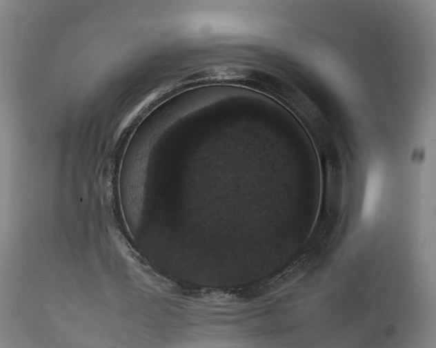 X0000111650387200907311322
