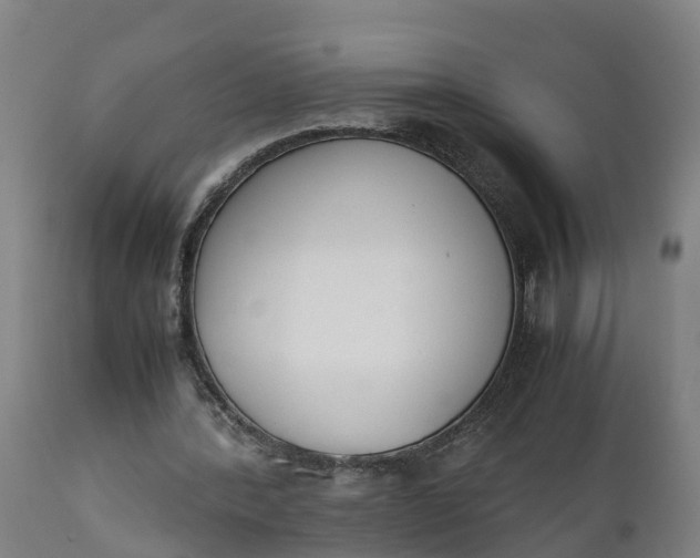 X0000111650388200907311322