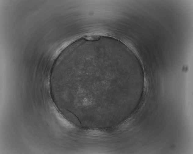 X0000111650389200907311322