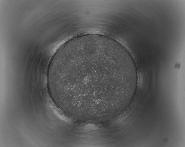 X0000111650390200907311321