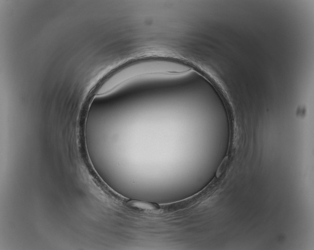 X0000111650391200907311321