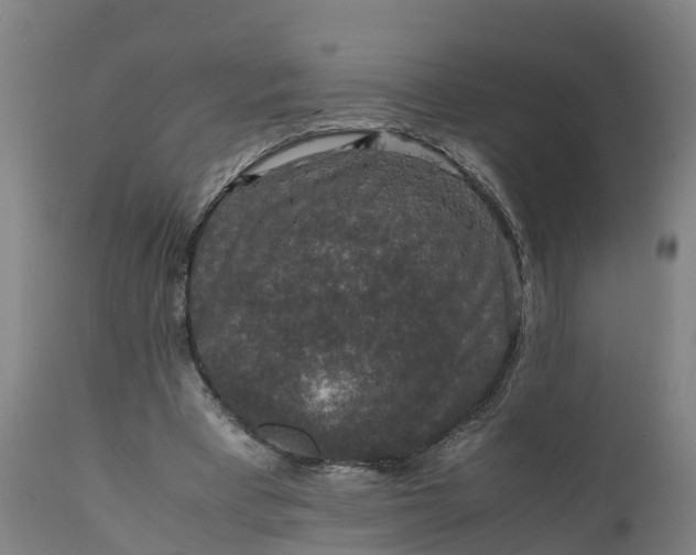 X0000111650393200907311321