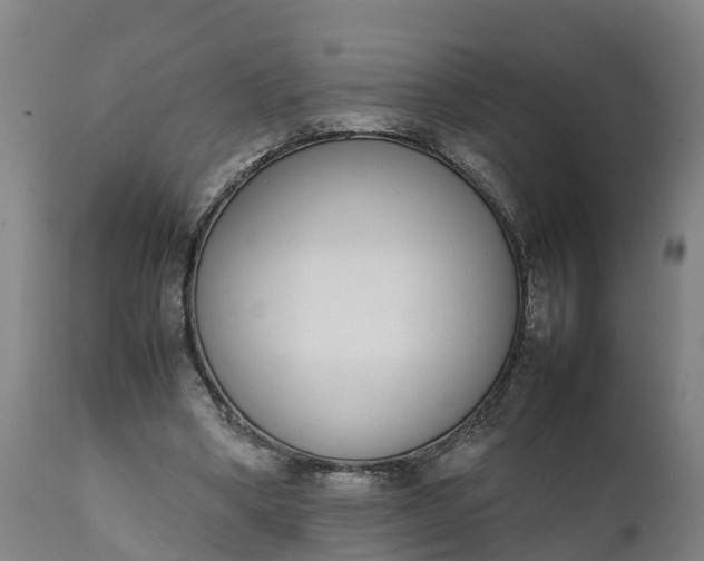 X0000111650394200907311321