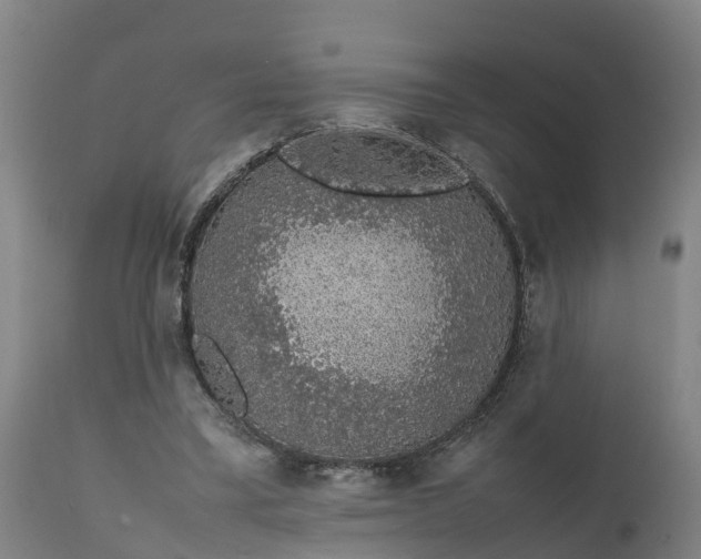 X0000111650395200907311321