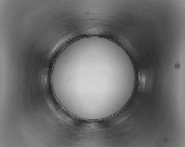 X0000111650396200907311321