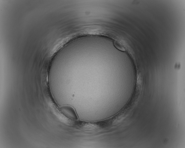 X0000111650397200907311321