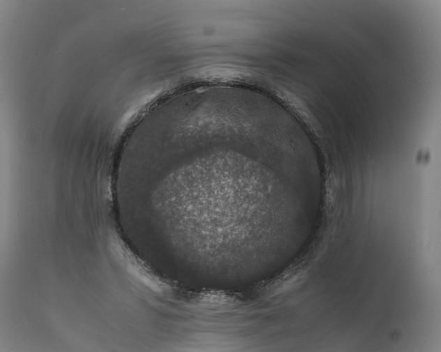 X0000111650399200907311321
