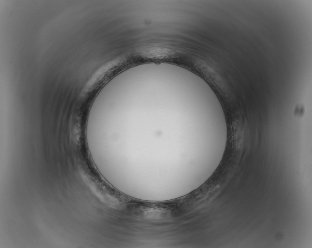 X0000111650400200907311321