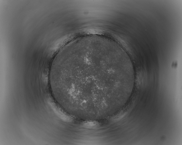 X0000111650402200907311321