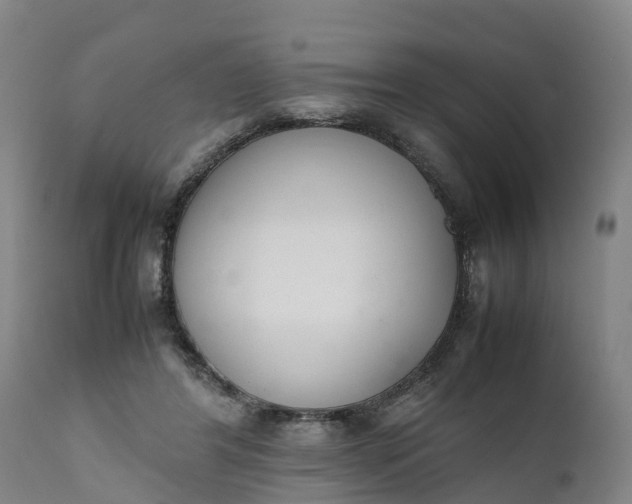 X0000111650404200907311321