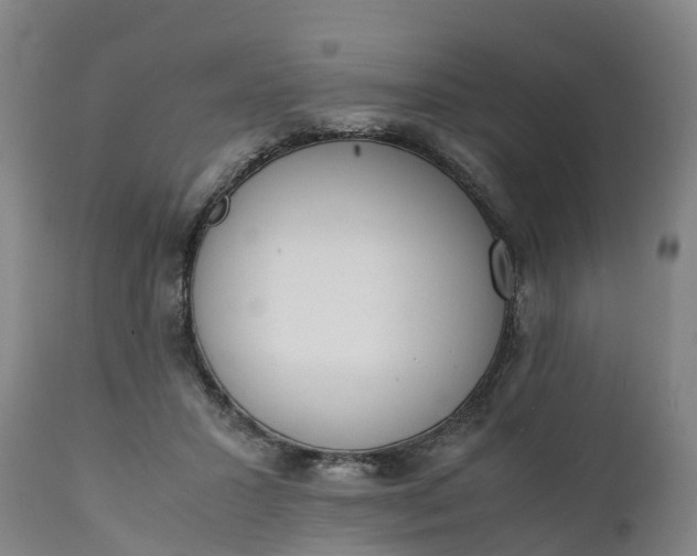 X0000111650407200907311321