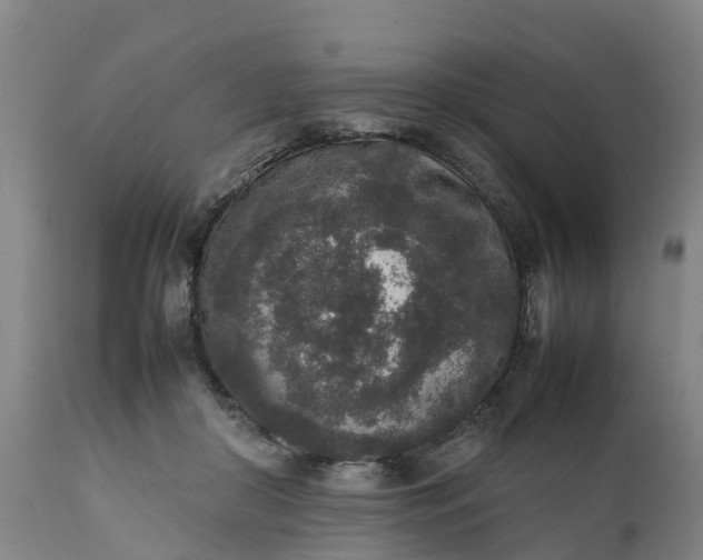 X0000111650410200907311321