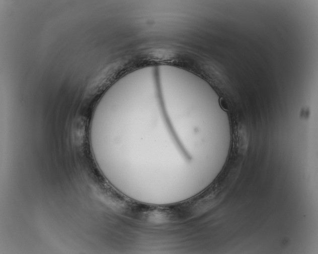 X0000111650412200907311321